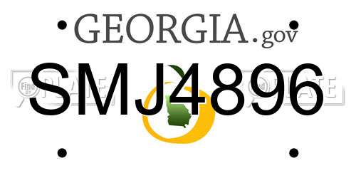 SMJ4896 Georgia License Plate