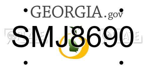 SMJ8690 Georgia License Plate