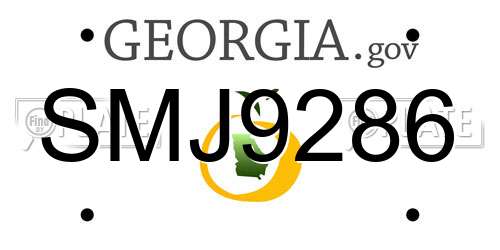SMJ9286 Georgia License Plate