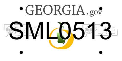 SML0513 Georgia License Plate