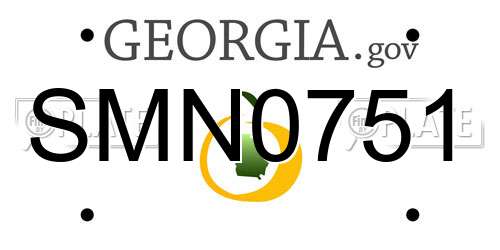 SMN0751 Georgia License Plate