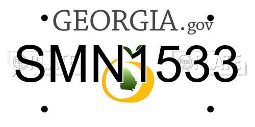 SMN1533 Georgia License Plate