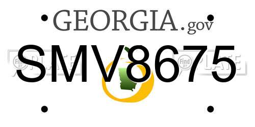 SMV8675 Georgia License Plate