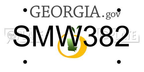 SMW382 Georgia License Plate