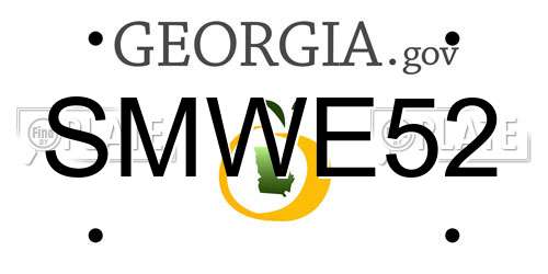 SMWE52 Georgia License Plate