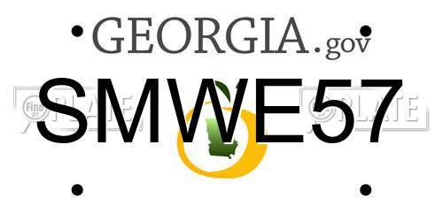 SMWE57 Georgia License Plate