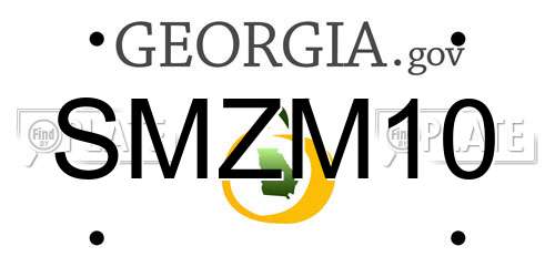 SMZM10 Georgia License Plate