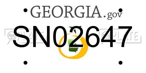 SN02647 Georgia License Plate