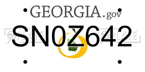 SN0Z642 Georgia License Plate