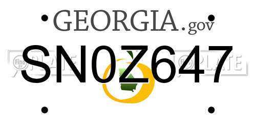 SN0Z647 Georgia License Plate