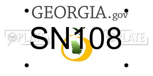 SN108 Georgia License Plate