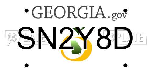 SN2Y8D Georgia License Plate