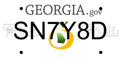 SN7Y8D Georgia License Plate
