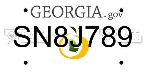 SN8J789 Georgia License Plate