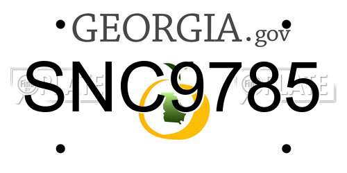SNC9785 Georgia License Plate