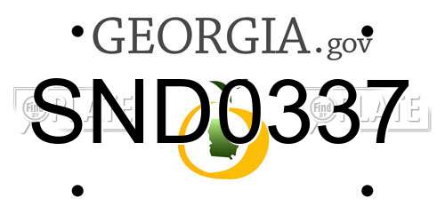 SND0337 Georgia License Plate