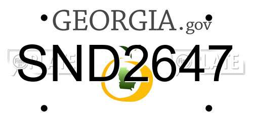 SND2647 Georgia License Plate