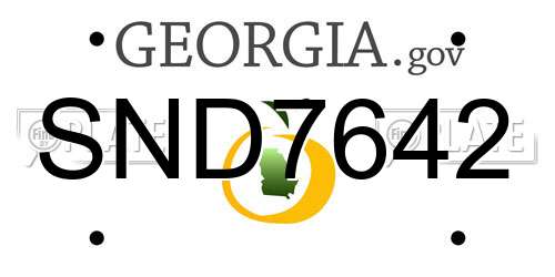 SND7642 Georgia License Plate