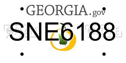 SNE6188 Georgia License Plate
