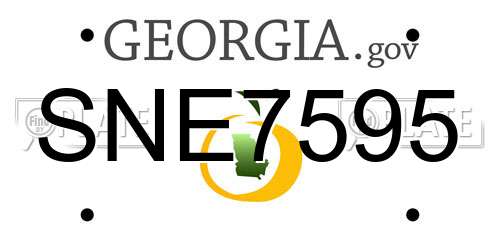SNE7595 Georgia License Plate