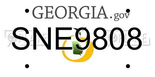 SNE9808 Georgia License Plate