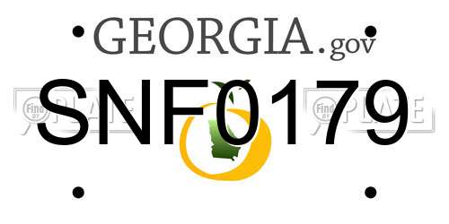 SNF0179 Georgia License Plate