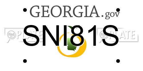 SNI81S Georgia License Plate