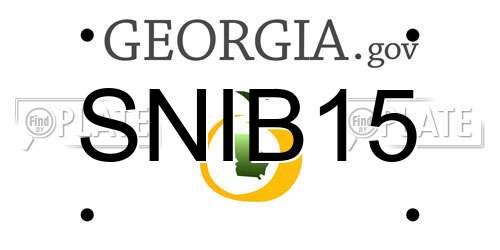 SNIB15 Georgia License Plate
