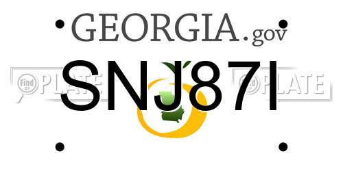SNJ87I Georgia License Plate