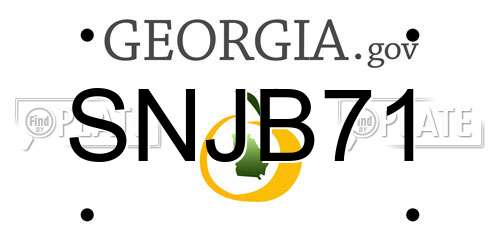 SNJB71 Georgia License Plate