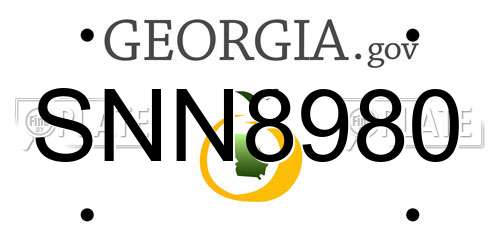 SNN8980 Georgia License Plate