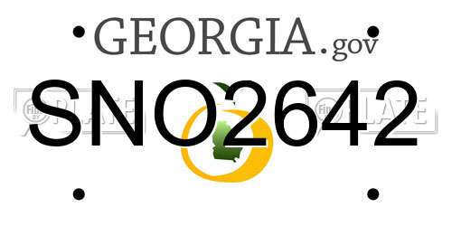 SNO2642 Georgia License Plate