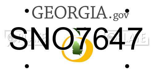 SNO7647 Georgia License Plate