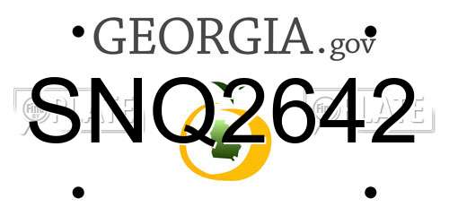 SNQ2642 Georgia License Plate