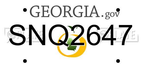 SNQ2647 Georgia License Plate
