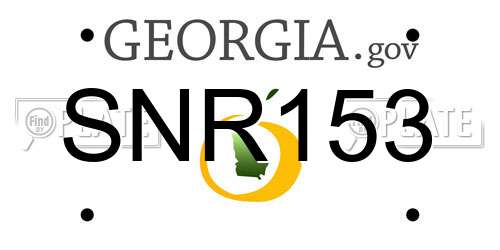 SNR153 Georgia License Plate