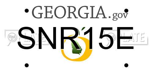 SNR15E Georgia License Plate