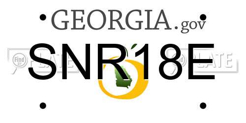 SNR18E Georgia License Plate