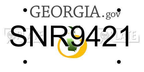 SNR9421 Georgia License Plate
