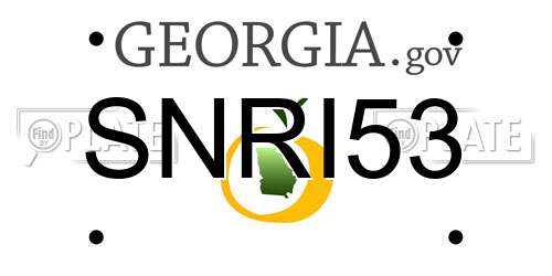 SNRI53 Georgia License Plate