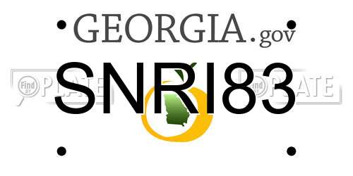 SNRI83 Georgia License Plate