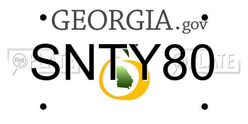 SNTY80 Georgia License Plate