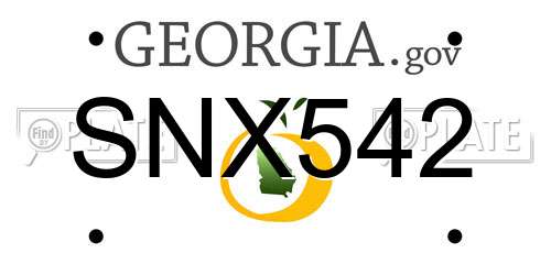 SNX542 Georgia License Plate