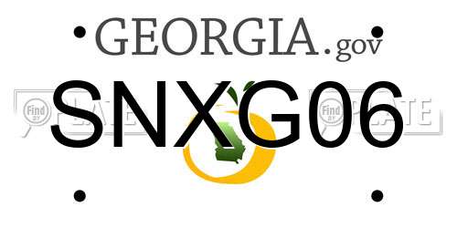 SNXG06 Georgia License Plate
