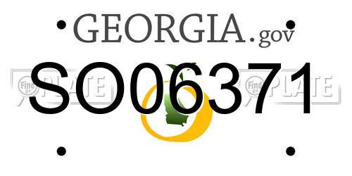 SO06371 Georgia License Plate