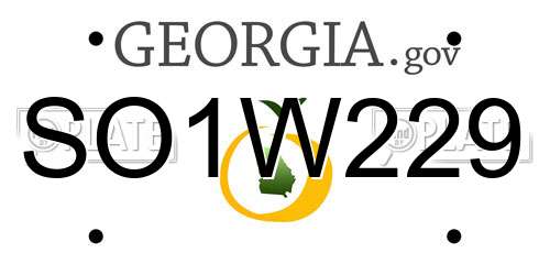 SO1W229 Georgia License Plate