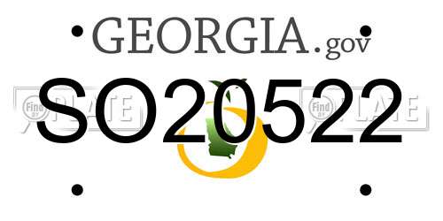 SO20522 Georgia License Plate