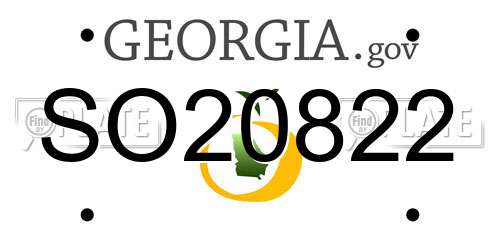 SO20822 Georgia License Plate
