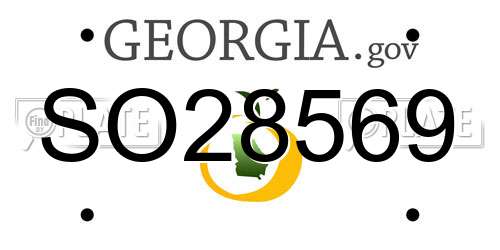 SO28569 Georgia License Plate