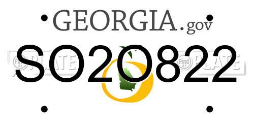 SO2O822 Georgia License Plate